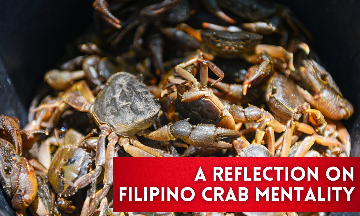 Cover image for A Reflection on Filipino Crab Mentality